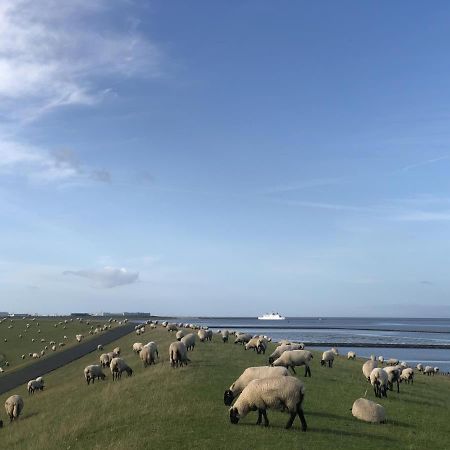 Wind Und Meer - Traumhaft An Der Nordsee Apartment Norddeich  Exterior foto