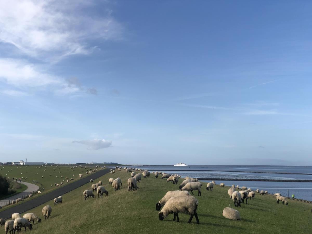 Wind Und Meer - Traumhaft An Der Nordsee Apartment Norddeich  Exterior foto